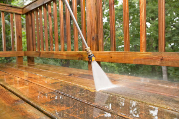 Animal Enclosure Cleaning in Mammoth Spring, AR